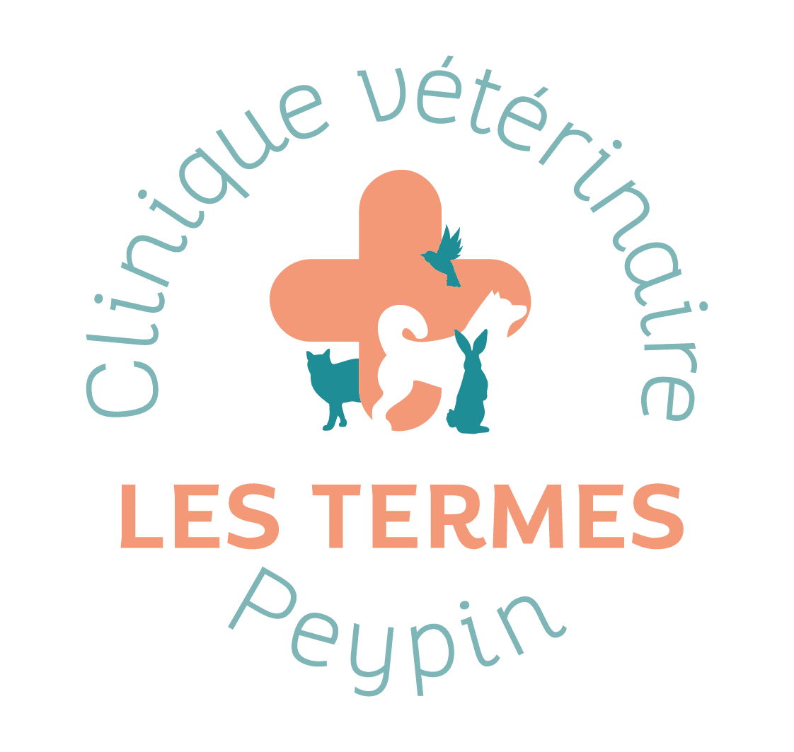 LOGO-TERMES_ROND-Q